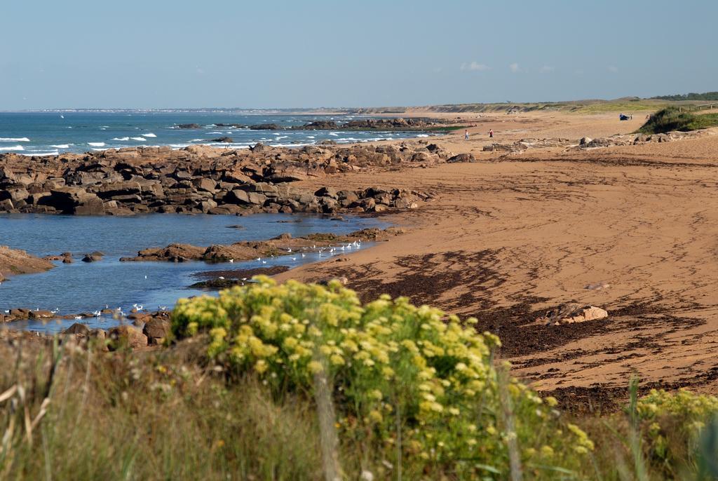 Vacanceole - Les Jardins De L'Amiraute Les Sables-dʼOlonne Exteriér fotografie